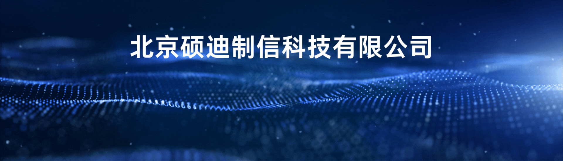 碩迪科技SW解決方案提供商